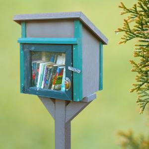 Little Free Library pic